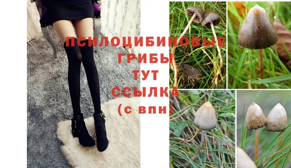 экстази Богданович