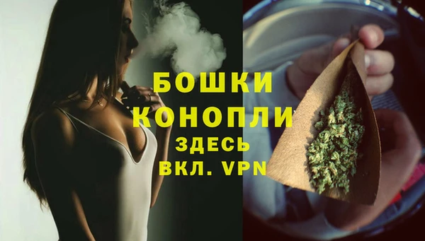 экстази Богданович