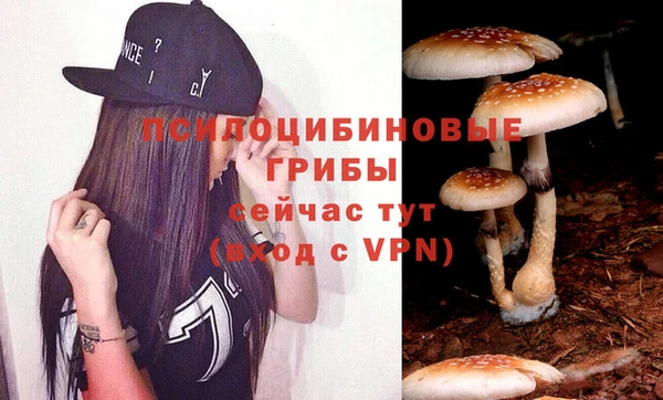 прущий лед Богородск