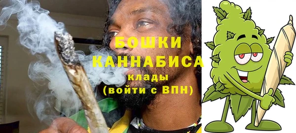 гашик Богородицк