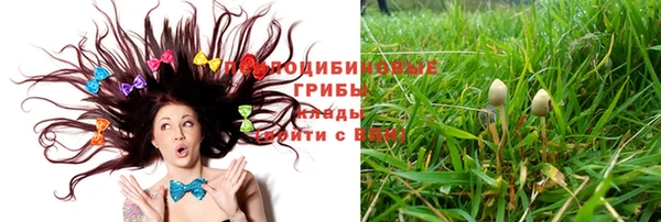 прущий лед Богородск