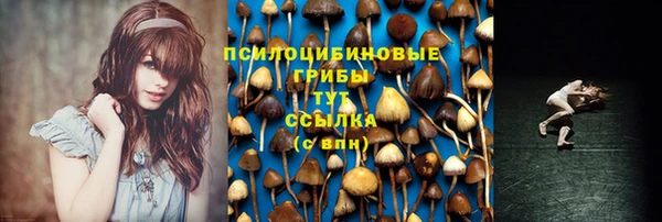 прущий лед Богородск