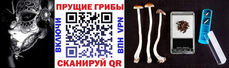 Псилоцибиновые грибы мухоморы  Нея 
